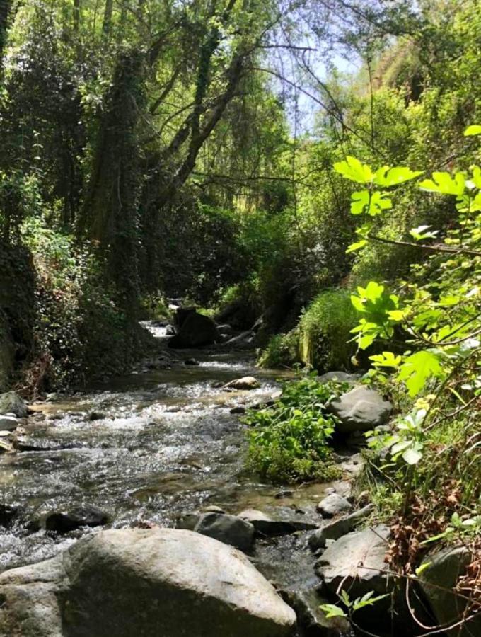 Riverside Suite كالوبانايوتيس المظهر الخارجي الصورة